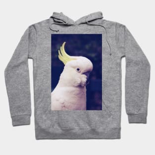 Sulfur Crested Cockatoo Hoodie